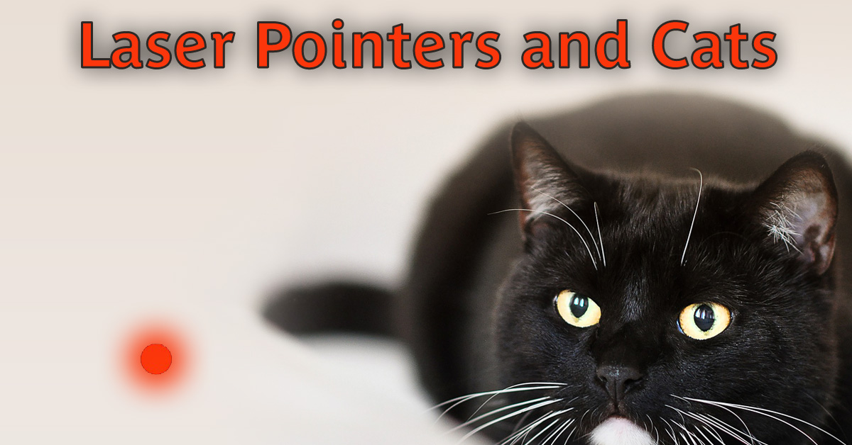 Can Laser Light Play Affect Mental Health of Cats?