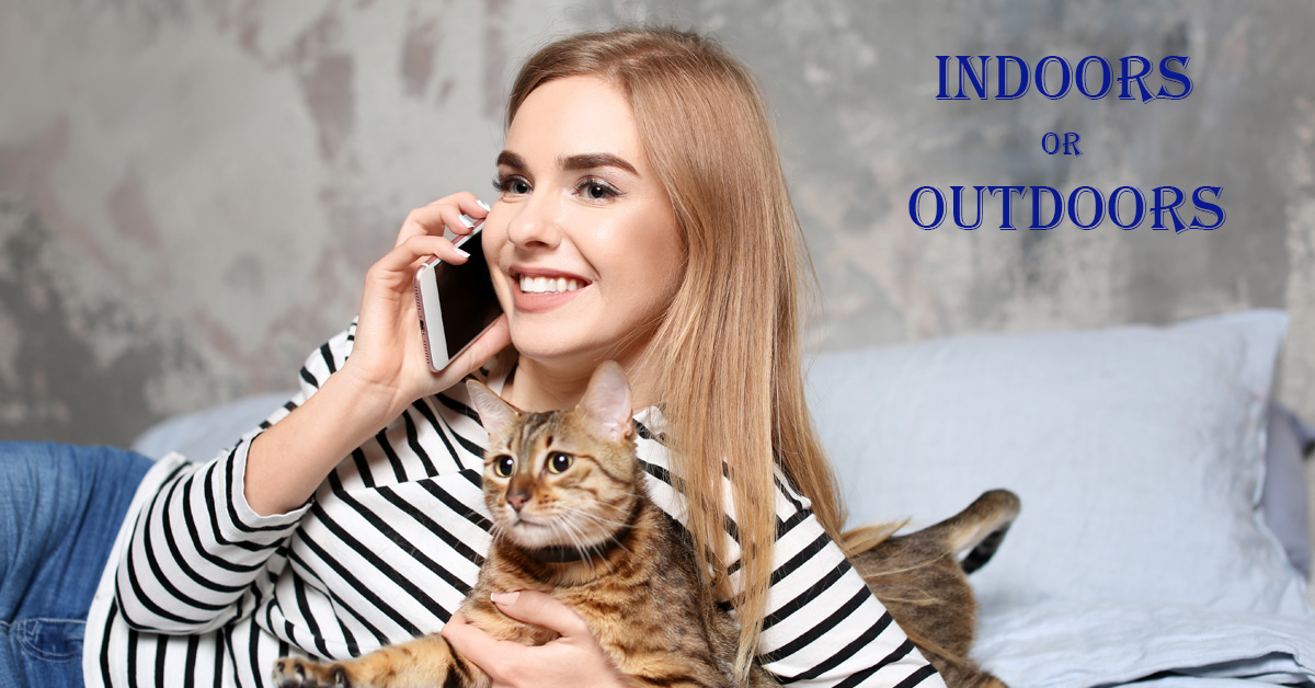 Cats – Indoors or Outdoors? Picture of a caucasian female reclined and holding a brown striped cat.
