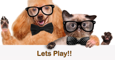 Indoor Games for Pets. Picture of a tan color dog with long ears and a seal point cat, both with glasses on.