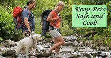Signs of Overheating in Pets. Picture of a caucasian male and female hiking with a blond Labrador retriever.