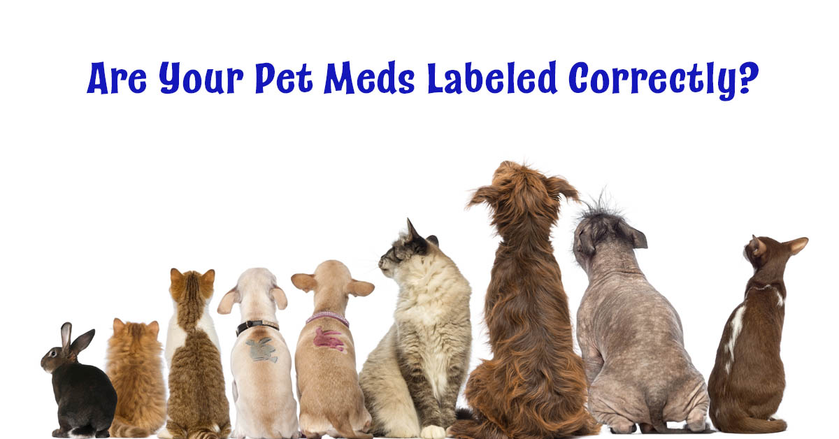Interstate Shipment of Misbranded Animal Drugs: Implications and Regulatory Measures. Picture of a variety of cats, dogs and a rabbit looking up as if reading a sign.