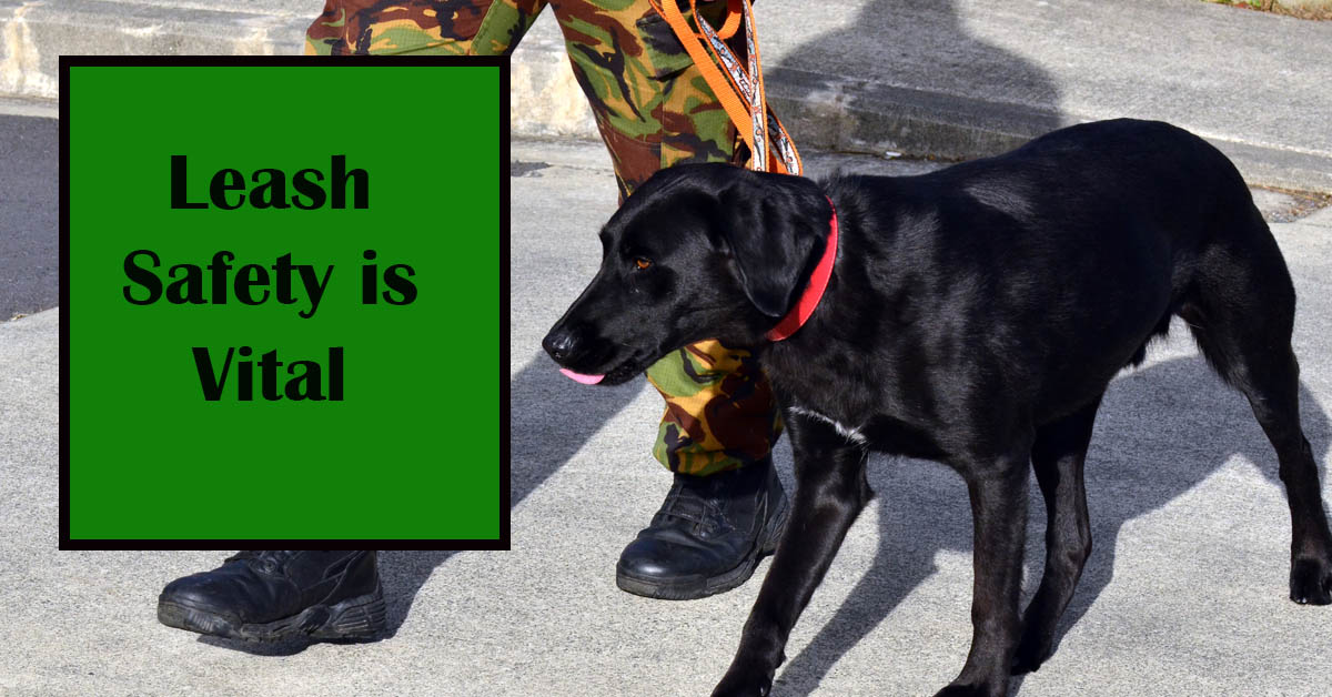 Ensuring Leash Safety for Your Beloved Canine Companion. Picture of a person dressed in camouflage walking with a large black dog on a leash.