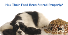 FDA Recommendations for Storing Pet Food. Picture of a black and white cocker spaniel lying beside a dish of dog food.